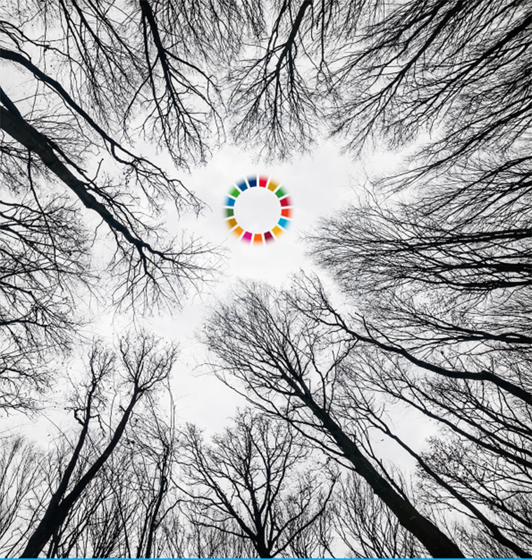 Anuario del PNUMA 2023.