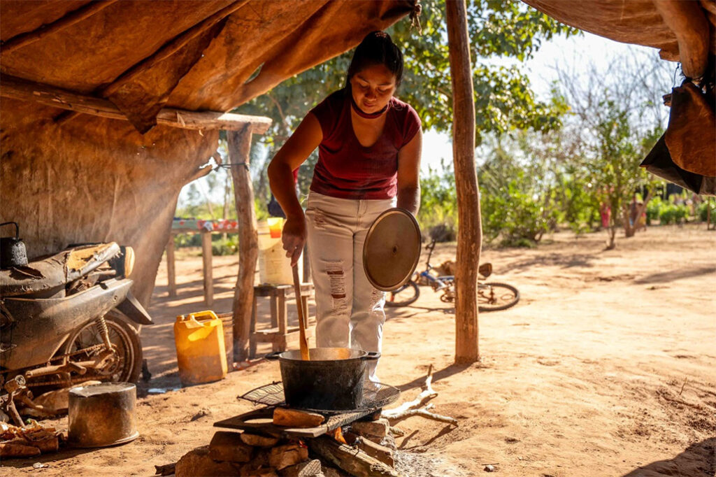 Arbol-10-1024x682 Un hogar forestal en el Paraguay: cómo la protección social impulsa la acción inclusiva por el clima
